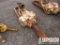 KING OIL TOOL 15-MB Swivel