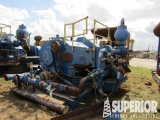 (21-76) RS F-1000 Triplex Pump w/ Quick Change Flu