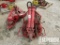 (2-135) OIL COUNTRY 5-1/2