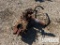 (5-198) OIL COUNTRY Open Face Rod Tong w/Hanger