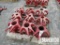 (1-205) (9) 100-Ton CL Tubing Elevators, (2) 5-1/2