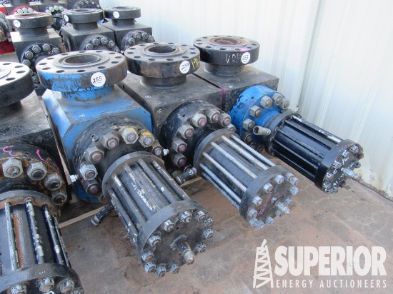 FLS-R 7-1/16" 10,000# Hyd Op Gate Valve (No Seals