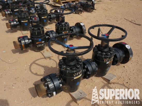 (2) CIW Type 2-9/16" 15,000# Manual Gate Valves w/