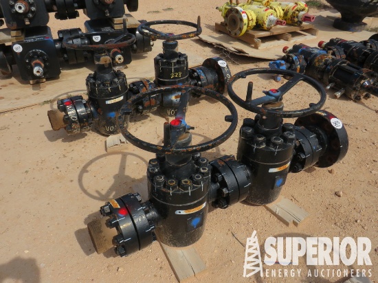 (2) CIW Type 2-9/16" 15,000# Manual Gate Valves w/