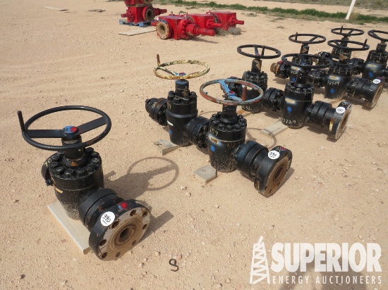 (3) CIW Type 2-9/16" 15,000# Manual Gate Valves w/