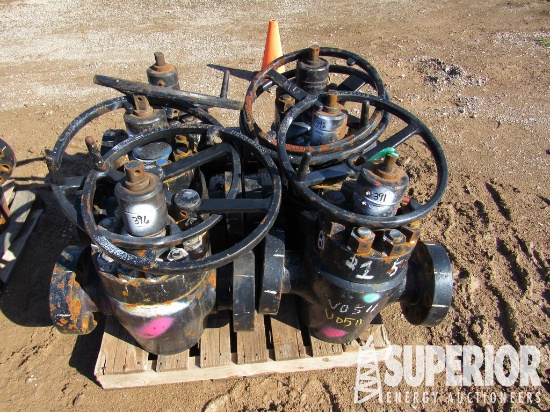 FC Type 2-9/16" 15,000# Manual Gate Valve . Locate