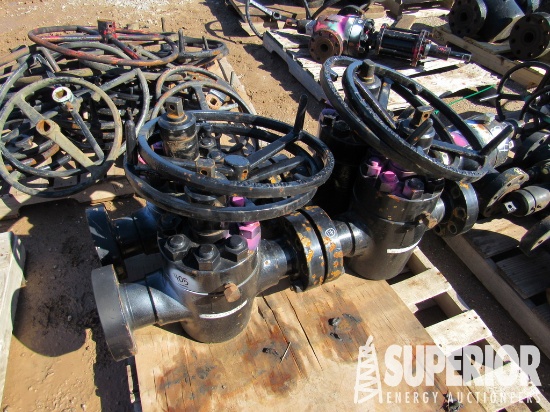 (2) FC Type 2-9/16" 10,000# Manual Gate Valves (Te
