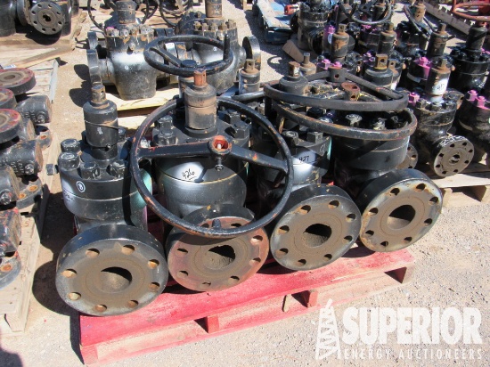(2) FC Type 4-1/16" 5000# Manual Gate Valves (Test