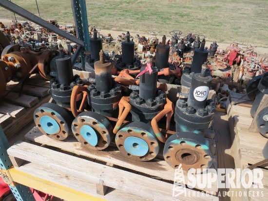 (8) 2018 JF 2-1/16" 5000# Manual Gate Valves w/FF