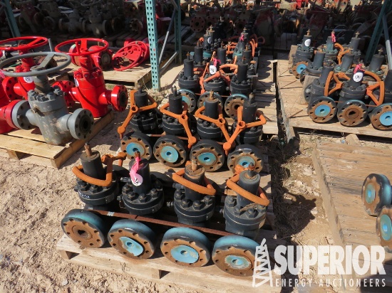 (14) 2018 JF 2-1/16" 5000# Manual Gate Valves w/FF