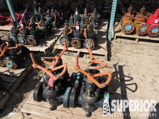 (10) 2018 JF 2-1/16" 5000# Manual Gate Valves w/FF
