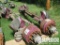 (2-7) (2) Steer Axles, 14'6