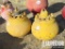 (2) HYDRIL K-20-1500 Pulsation Dampeners