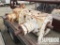 (5) Rt Angle Gearboxes f/ WALKER-NEER Rig