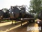 2009 DRAGON 130-Bbl T/A Vacuum Trailer