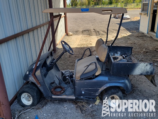 (13-43) Elec Golf Cart & HUSTLER Raptor 938605 Law