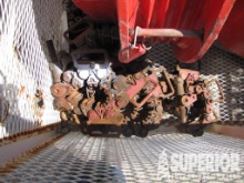 (10) Safety Clamps