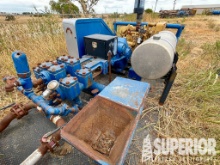 GASO 1742 Duplex Pump