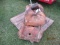 CASE WINCH