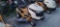 CC LTX1042 Riding Mower (RUNS DOES NOT MOVE)