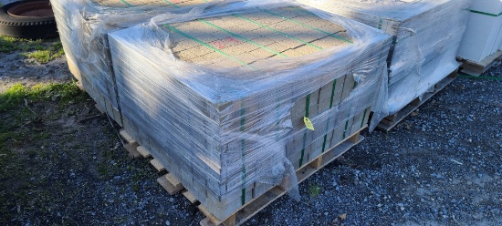 Skid Tan Brick Pavers