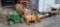 Simplicity Tractor W/Danco Loader (RUNS)