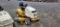 Cub Cadet 3235 Riding Mower (RUNS)