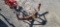 Brinley 1 row Cultivator