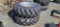 2-New Titan 16.9x28 Tires & Rims