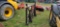 JCB 4-prong Spear