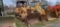 1986 Case 855D Crawler Loader (RIDE AND DRIVE)