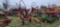 Pequea TT4000 4 StarTeddar