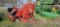 Case IH 600 Blower