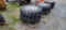 2-New Titan 12.4-24 Tires & Rims