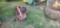 International 3pt. Sickle Mower