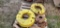 4-John Deere Rear Wheel Weights
