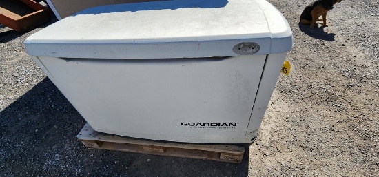 Gaurdian Back up Generator