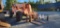SkyTrak B8042 Telehandler (RUNS) (AS IS)