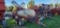 Hardi 500 Gallon Pull Sprayer