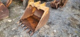 Cat 36