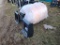 New Land Honor Skidloader Cement Mixer