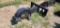 New Topcat Skidloader Stump Grinder