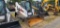 2021 Bobcat T770 Skidloader (RIDE AND DRIVE)