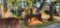 2017 JCB 407 T4 Wheel Loader (RIDE AND DRIVE)