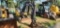 2020 John Deere 30G Mini Excavator (RIDE AND DRIVE)