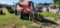 2015 JLG 6042 Telehandler (RIDE AND DRIVE)