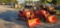 Kubota BX1870 Compact Tractor w/Loader (RIDE AND DRIVE)