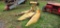 New Holland 824 2 row Corn Head