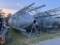 Grain Bin