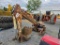 Bobcat 3pt. Backhoe Attachment
